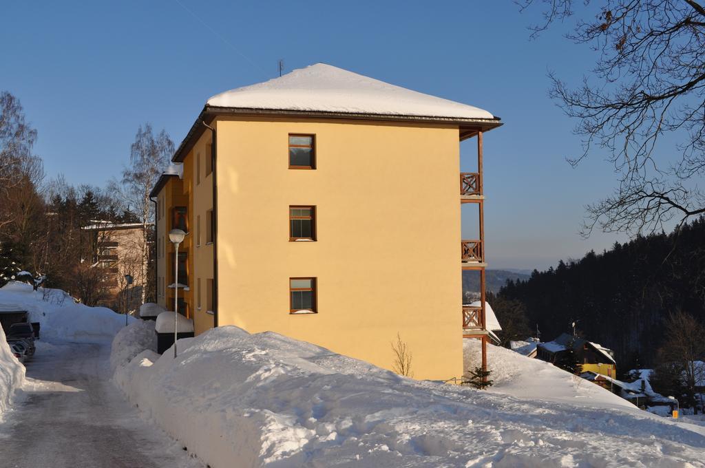 Apartman Kamila Janske Lazne Oda fotoğraf